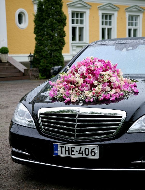Autokoriste 3