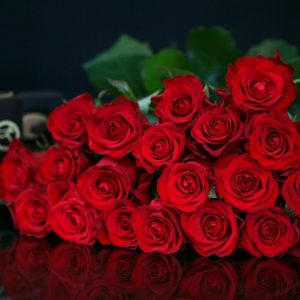 Punaisia ruusuja